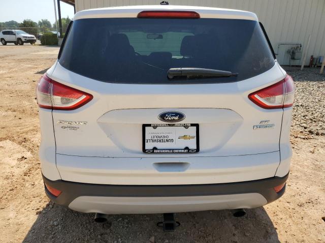 Photo 6 from auction – 2014 FORD ESCAPE SE with VIN 1FMCU0GX8EUA37183