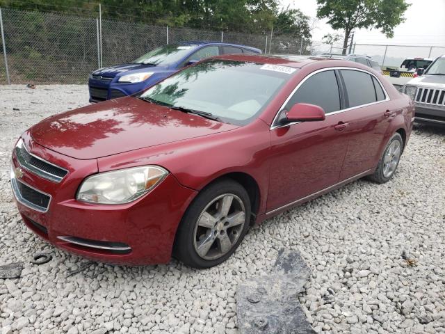 CHEVROLET MALIBU 2LT 2010 with VIN 1G1ZD5EB1AF302407 - Photo from auction