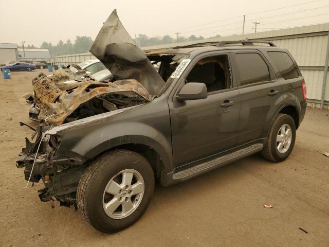 FORD ESCAPE XLT 2009 with VIN 1FMCU93G99KB62480 - Photo from auction