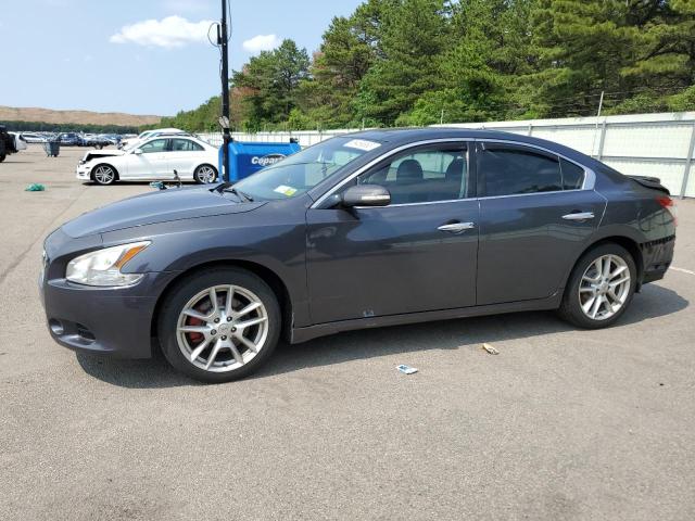 NISSAN MAXIMA S 2011 with VIN 1N4AA5AP4BC830854 - Photo from auction