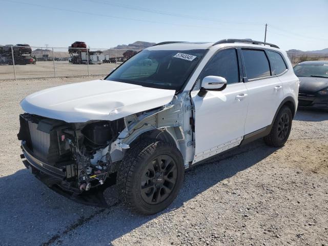 KIA TELLURIDE 2023 with VIN 5XYP5DGCXPG355575 - Photo from auction
