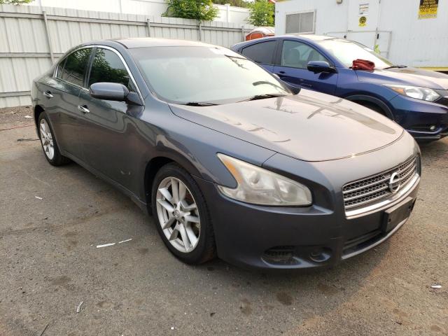 Photo 4 from auction – 2009 NISSAN MAXIMA S with VIN 1N4AA51E89C836570