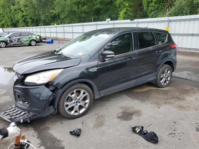 FORD ESCAPE SEL 2013 with VIN 1FMCU0HX8DUD11866 - Photo from auction