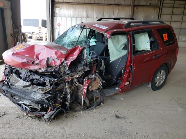 FORD ESCAPE XLT 2011 with VIN 1FMCU0D74BKB02834 - Photo from auction