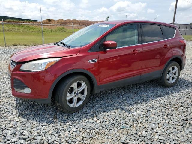 Photo 1 from auction – 2014 FORD ESCAPE SE with VIN 1FMCU0GXXEUB38936