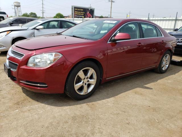 CHEVROLET MALIBU 2011 with VIN 1G1ZC5E13BF229827 - Photo from auction