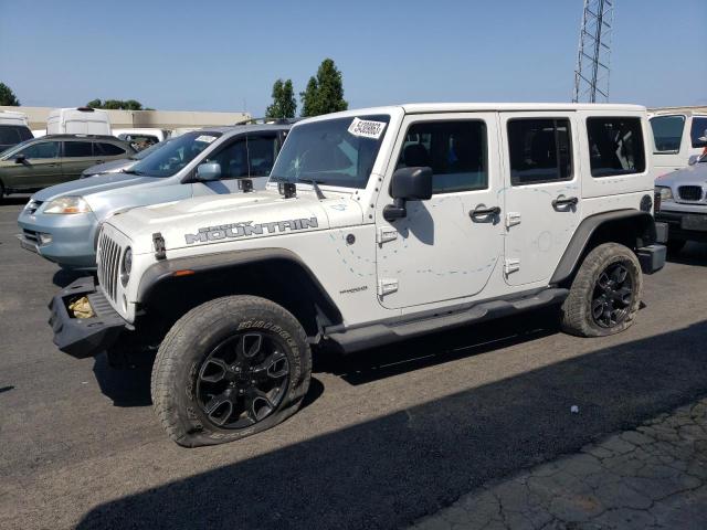 JEEP WRANGLER U 2017 with VIN 1C4BJWEG2HL695333 - Photo from auction