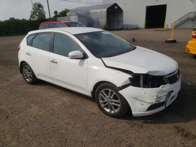 Photo 4 from auction – 2012 KIA FORTE EX with VIN KNAFU5A24C5566789