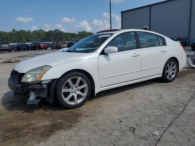 NISSAN MAXIMA SE 2007 with VIN 1N4BA41EX7C866391 - Photo from auction
