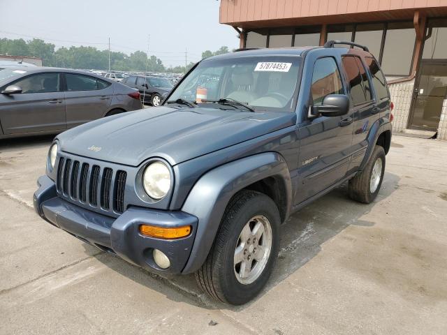 JEEP LIBERTY SP 2002 with VIN 1J4GL58K72W175316 - Photo from auction