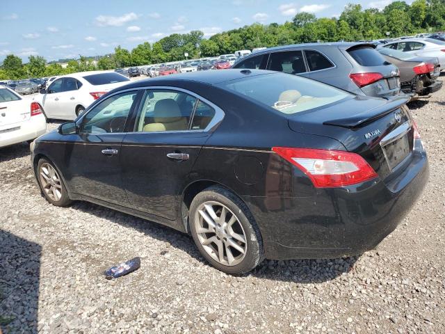 Photo 2 from auction – 2011 NISSAN MAXIMA S with VIN 1N4AA5AP3BC862811