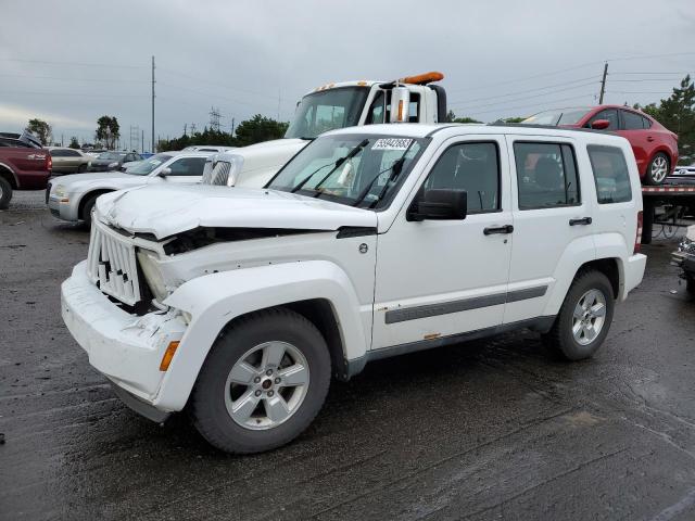 JEEP LIBERTY SP 2011 with VIN 1J4PN2GK1BW583983 - Photo from auction