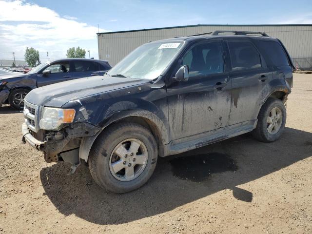 FORD ESCAPE XLT 2011 with VIN 1FMCU9DG7BKB16196 - Photo from auction