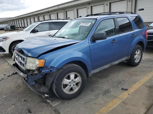 FORD ESCAPE XLT 2009 with VIN 1FMCU03G69KB55224 - Photo from auction
