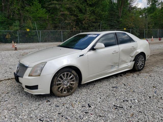 CADILLAC CTS 2011 with VIN 1G6DC5EY9B0155057 - Photo from auction