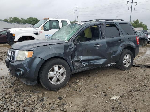 Photo 1 from auction – 2009 FORD ESCAPE XLT with VIN 1FMCU937X9KB08170