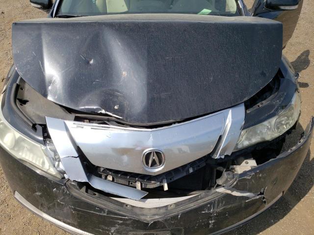 Photo 11 from auction – 2009 ACURA TL with VIN 19UUA86209A008761
