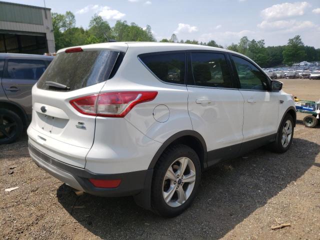 Photo 3 from auction – 2014 FORD ESCAPE SE with VIN 1FMCU9GX4EUC71678