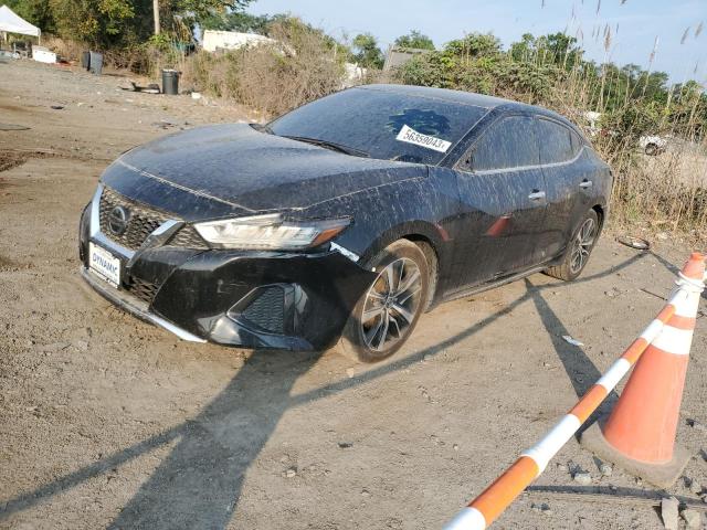Photo 1 from auction – 2021 NISSAN MAXIMA SV with VIN 1N4AA6CV4MC504475