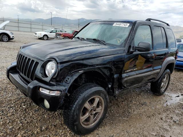 Photo 1 from auction – 2002 JEEP LIBERTY SP with VIN 1J4GK48K72W254076