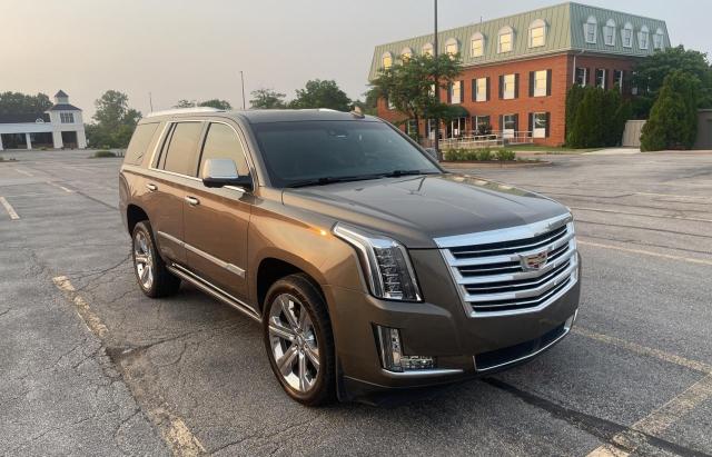 CADILLAC ESCALADE P 2016 with VIN 1GYS4DKJ1GR216594 - Photo from auction