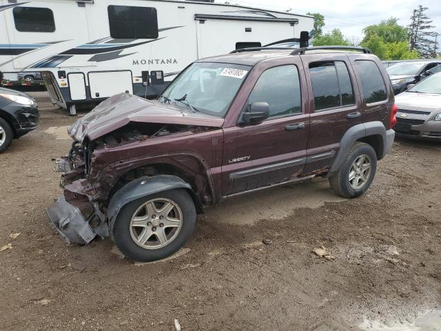JEEP LIBERTY SP 2004 with VIN 1J4GL48K24W286207 - Photo from auction