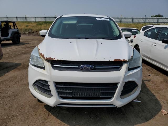 Photo 5 from auction – 2014 FORD ESCAPE SE with VIN 1FMCU9GX9EUE28282