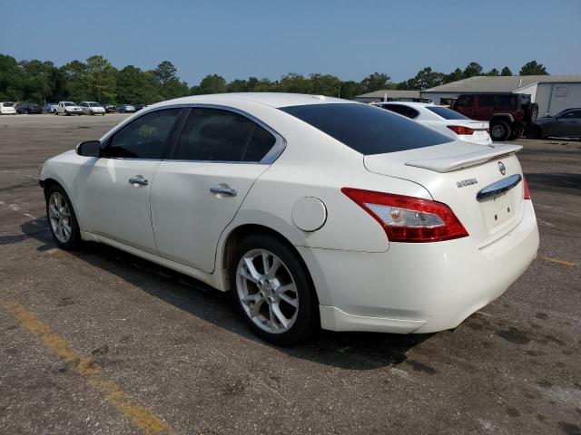 Photo 2 from auction – 2009 NISSAN MAXIMA S with VIN 1N4AA51E69C841931