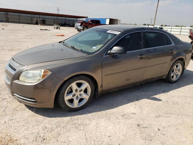 CHEVROLET MALIBU LS 2011 with VIN 1G1ZB5E12BF225657 - Photo from auction