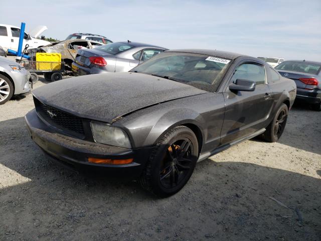 FORD MUSTANG 2007 with VIN 1ZVFT80N075357703 - Photo from auction