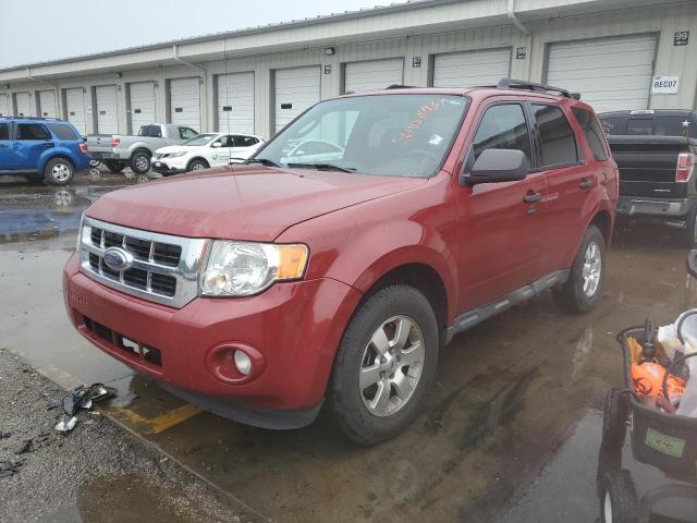 FORD ESCAPE XLT 2009 with VIN 1FMCU03G79KB86630 - Photo from auction