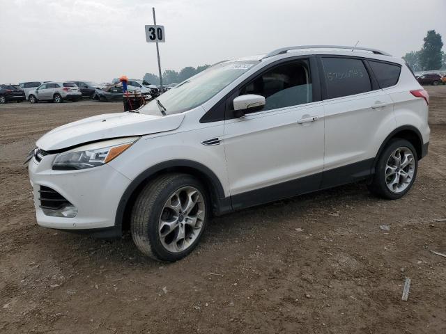 FORD ESCAPE TIT 2014 with VIN 1FMCU0JX1EUA75928 - Photo from auction