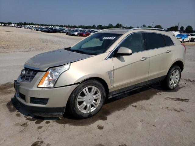 CADILLAC SRX LUXURY 2011 with VIN 3GYFNDEY6BS510327 - Photo from auction