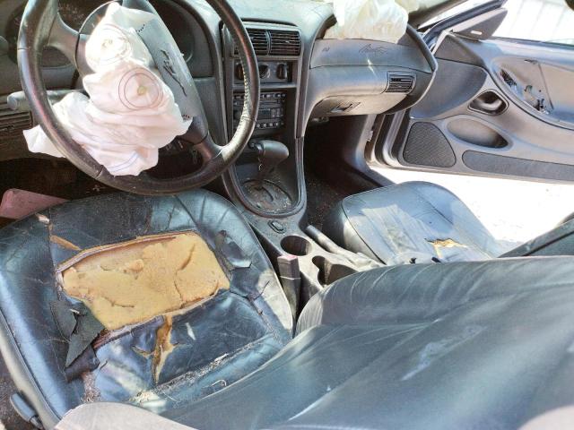 Photo 8 from auction – 2004 FORD MUSTANG with VIN 1FAFP44644F169538