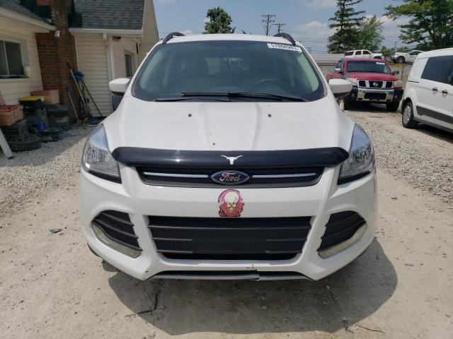 Photo 5 from auction – 2014 FORD ESCAPE SE with VIN 1FMCU9GX4EUB52769