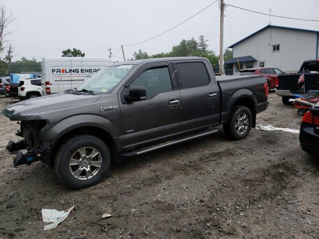 FORD F150 SUPER 2016 with VIN 1FTEW1EG4GKF87334 - Photo from auction