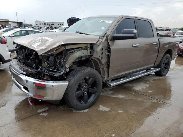DODGE RAM 1500 2009 with VIN 1D3HV13T49S816492 - Photo from auction