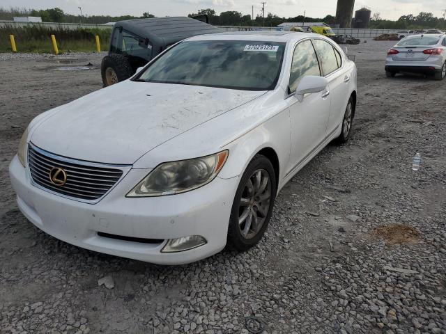 LEXUS LS 460 2007 with VIN JTHBL46F875002528 - Photo from auction