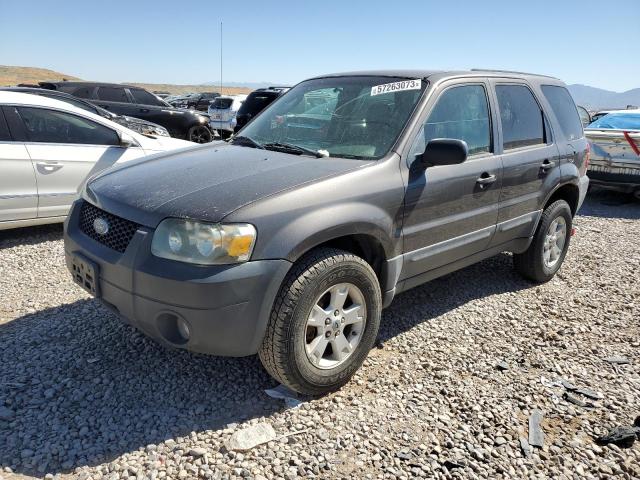 FORD ESCAPE XLT 2006 with VIN 1FMYU03136KA23731 - Photo from auction