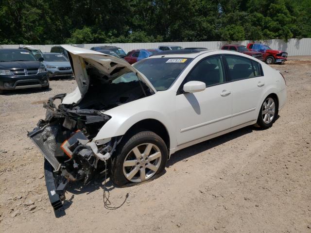 NISSAN MAXIMA SE 2004 with VIN 1N4BA41E64C875102 - Photo from auction