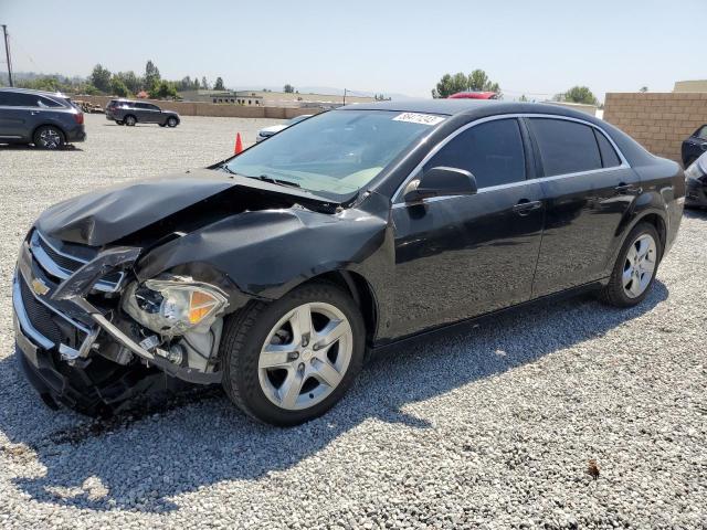 CHEVROLET MALIBU LS 2010 with VIN 1G1ZB5EB3AF167436 - Photo from auction