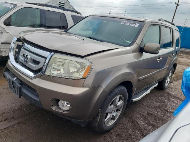 HONDA PILOT EXL 2011 with VIN 5FNYF4H55BB041107 - Photo from auction