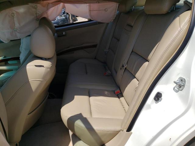Photo 10 from auction – 2004 NISSAN MAXIMA SE with VIN 1N4BA41E64C875102
