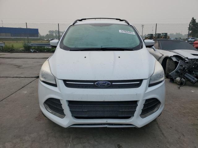 Photo 5 from auction – 2013 FORD ESCAPE SE with VIN 1FMCU0GX2DUD85110