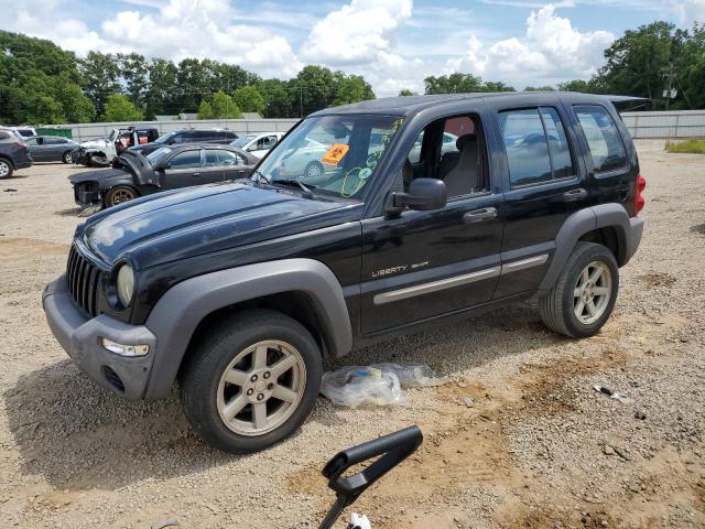 JEEP LIBERTY SP 2002 with VIN 1J4GK48K22W303099 - Photo from auction