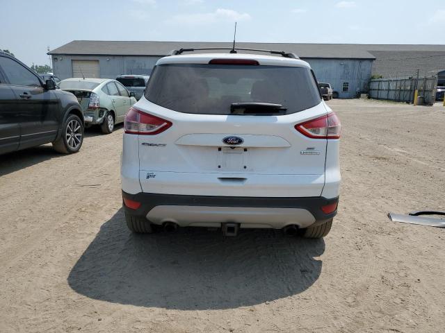 Photo 6 from auction – 2014 FORD ESCAPE SE with VIN 1FMCU0G98EUC29074