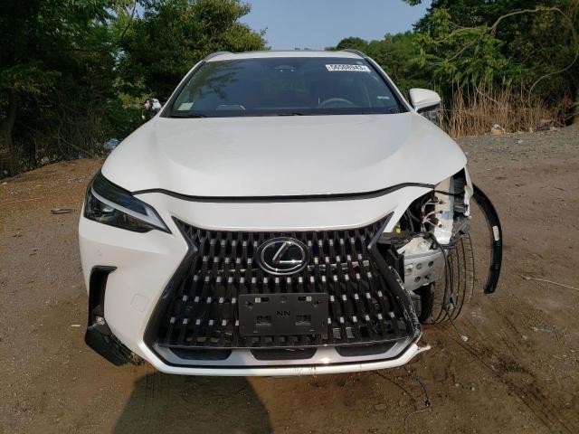Photo 5 from auction – 2022 LEXUS NX 350 with VIN 2T2GGCEZ3NC002059
