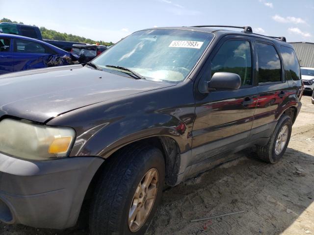 Photo 1 from auction – 2007 FORD ESCAPE XLT with VIN 1FMCU03107KB87739
