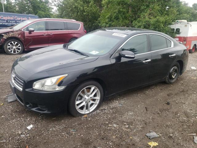 NISSAN MAXIMA S 2009 with VIN 1N4AA51E69C860835 - Photo from auction