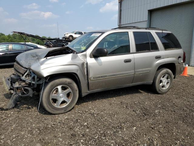 CHEVROLET TRAILBLAZE 2002 with VIN 1GNDT13SX22146979 - Photo from auction